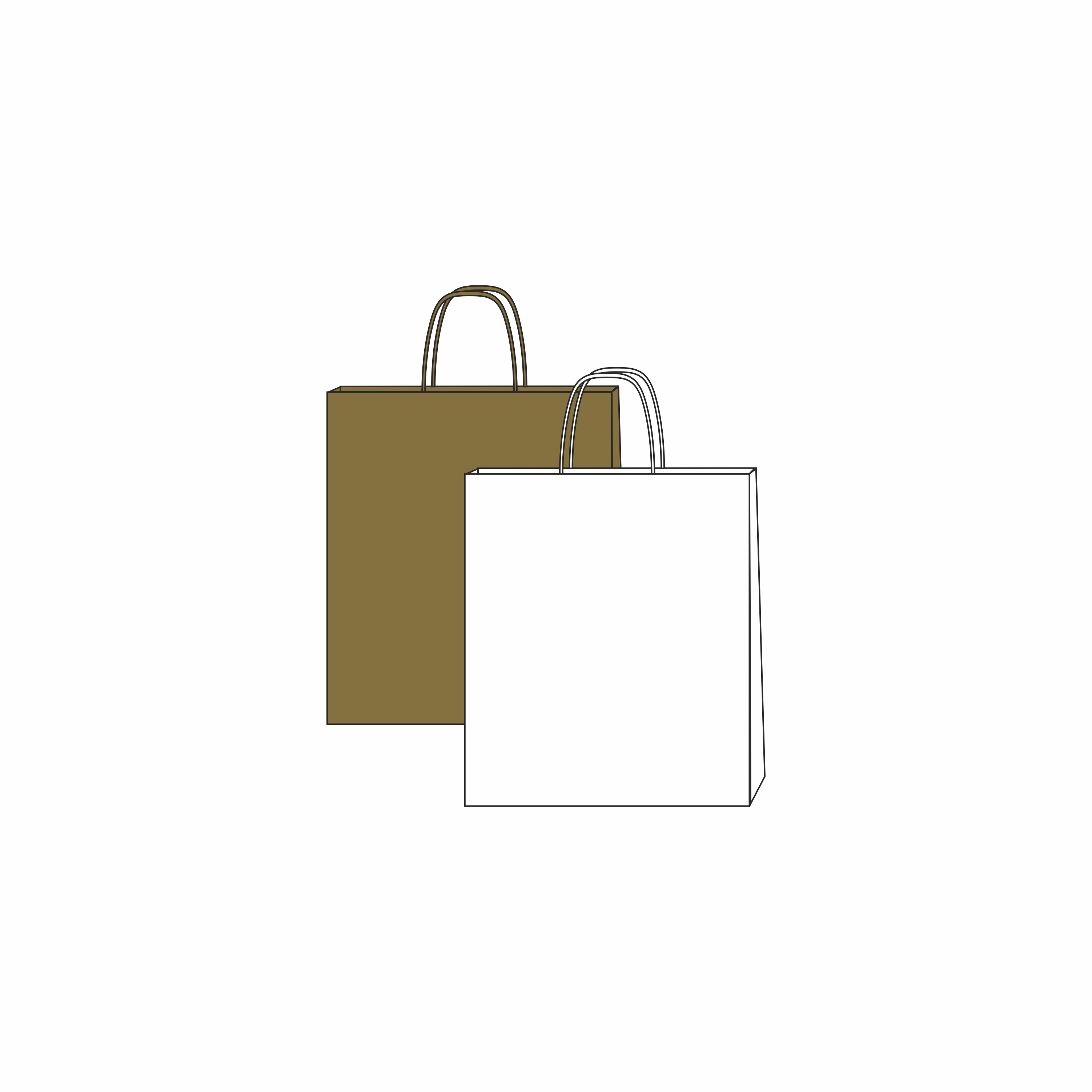 paper bag with spiral handles 18 x 8 x 21 cm with logo