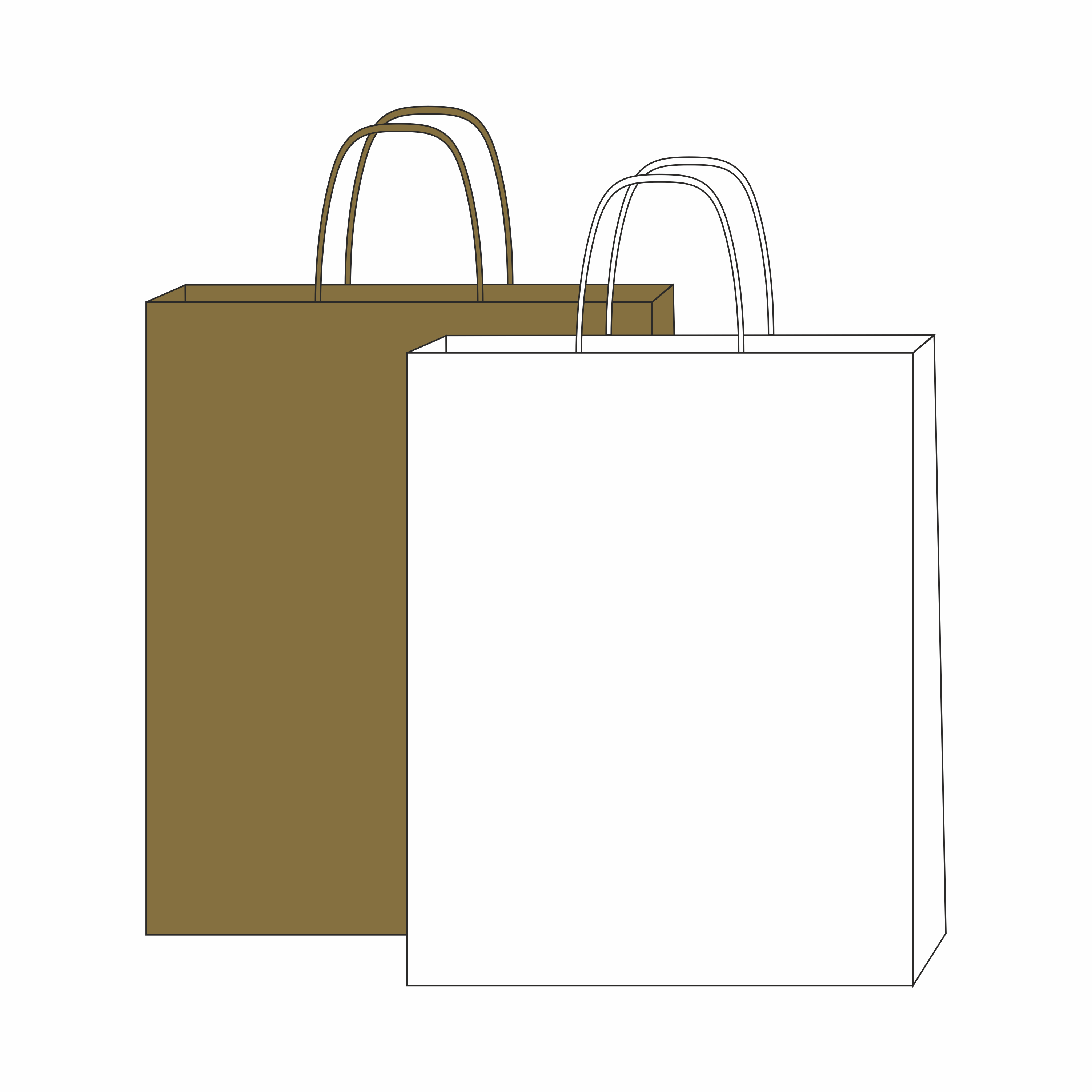 paper bag with spiral handles 32 x 12 x 40 cm with logo