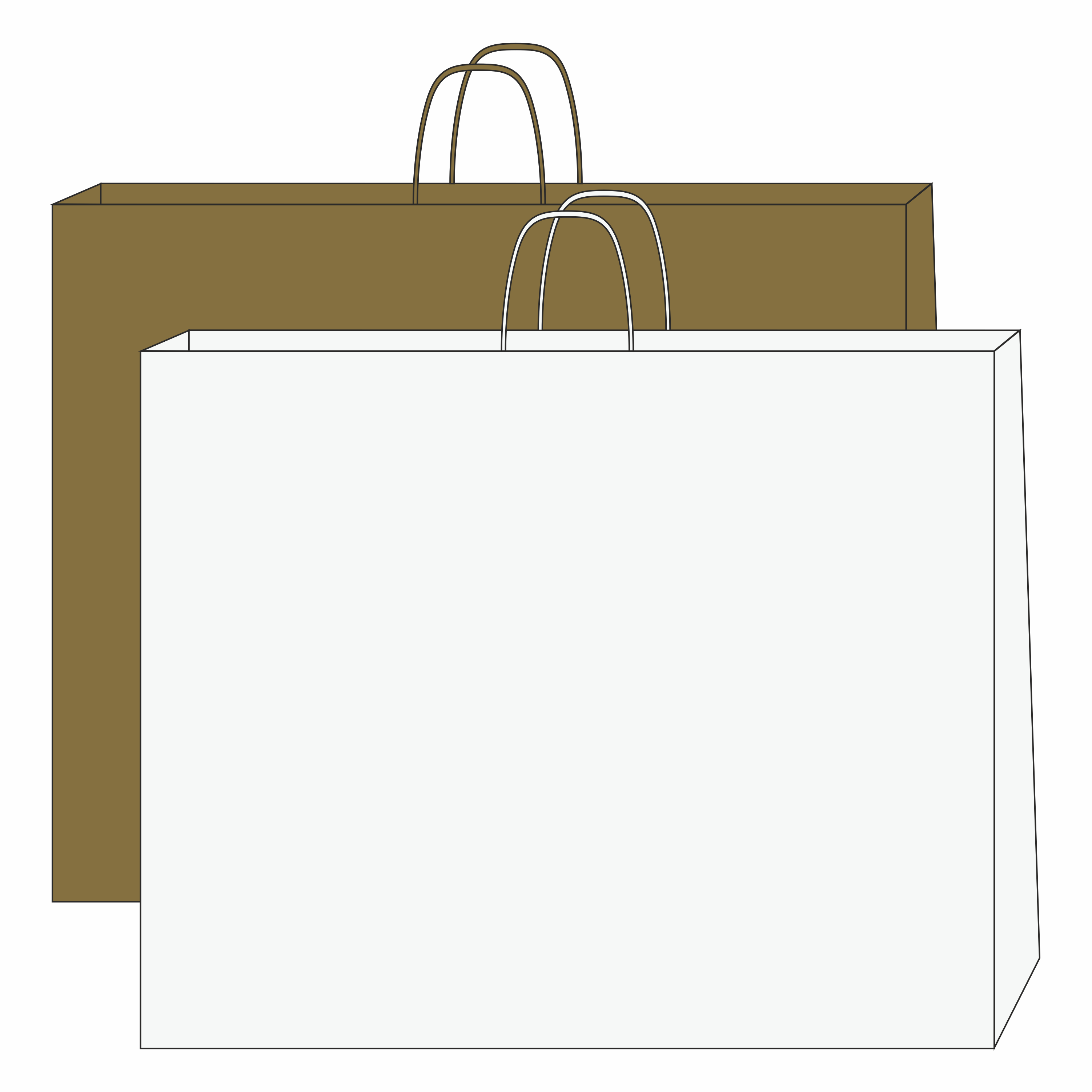 paper bag with spiral handles 54 x 14 x 44 cm with logo